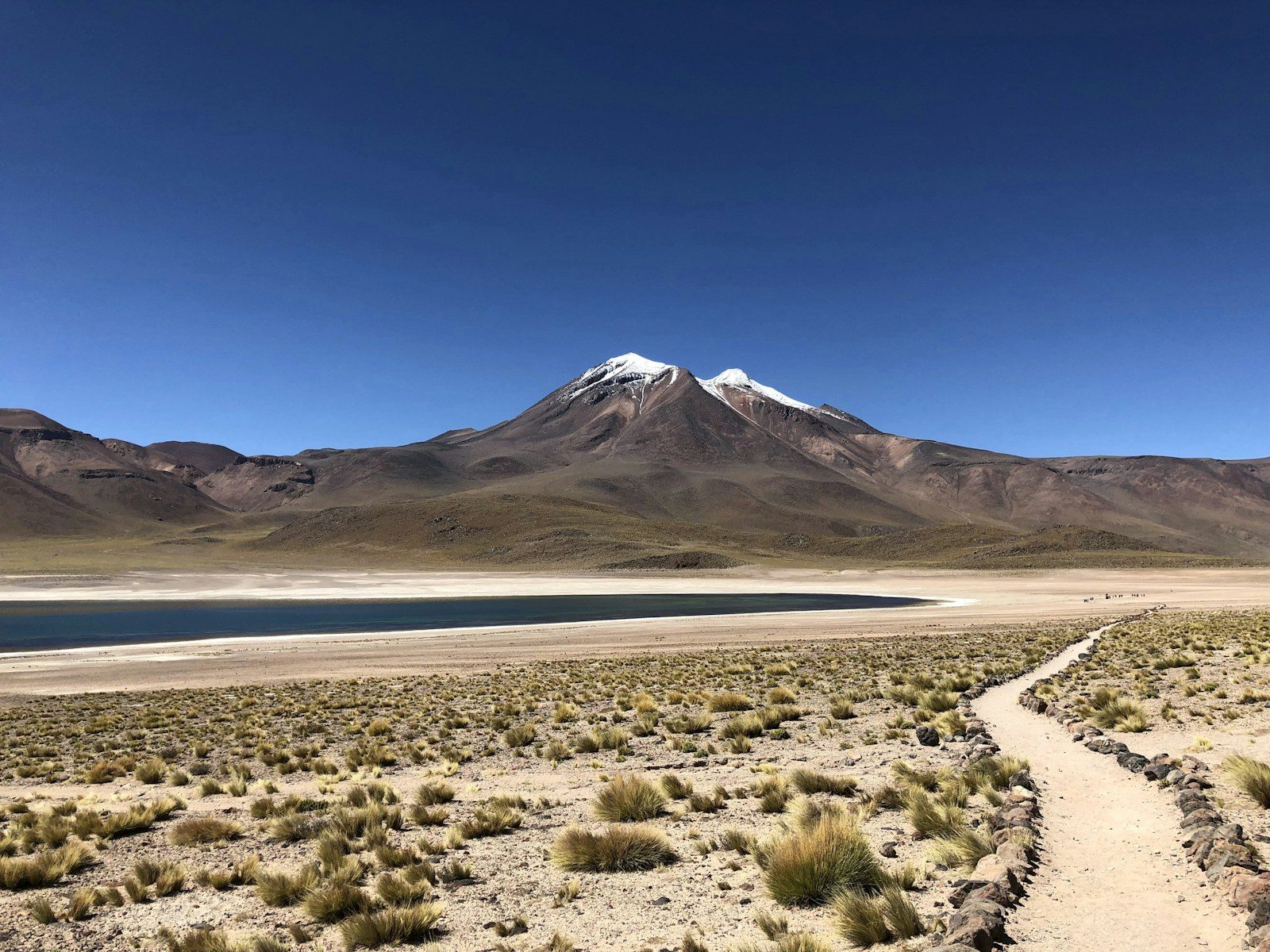 Paisaje del altiplano en el desierto de Atacama, Chile, con volcán nevado y cielo despejado